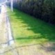 Fertilizante para pasto - Verde instantáneo Greengrass